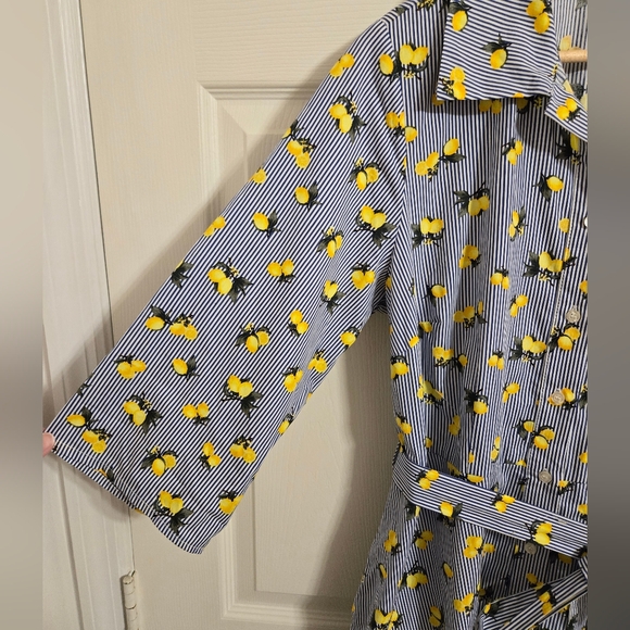 Chloe + Rene Blue Striped Dress with Lemon Pattern Belted Waist Size 1X NWT - Picture 2 of 9